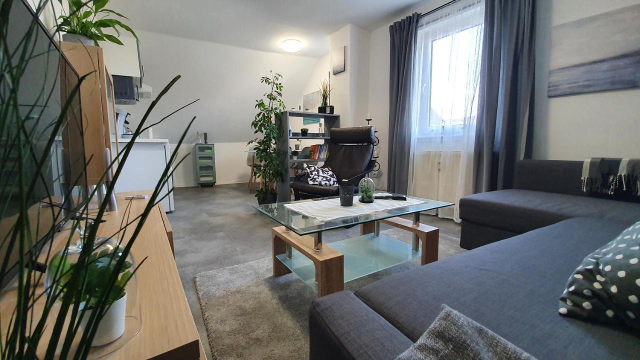Ferienwohnung Elsa Hungen Экстерьер фото